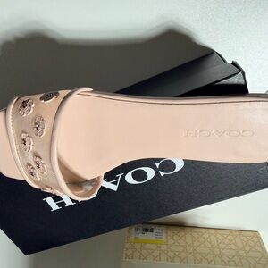 Coach Blush Pink Floral Embellished Slide Mule